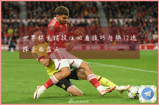 世界杯竞猜投注必看技巧与热门选择全面盘点