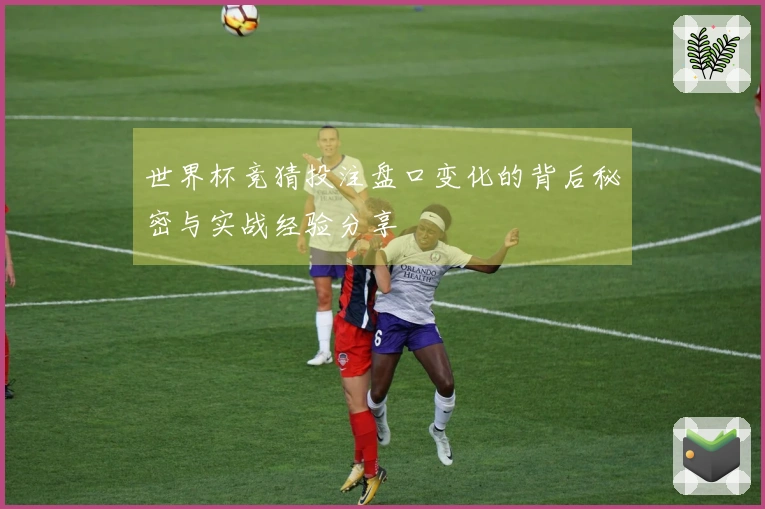 世界杯竞猜投注盘口变化的背后秘密与实战经验分享