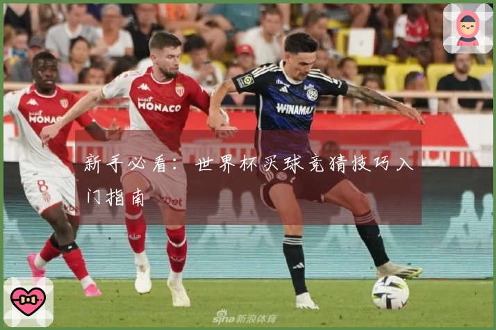 新手必看：世界杯买球竞猜技巧入门指南