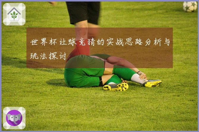 世界杯让球竞猜的实战思路分析与玩法探讨