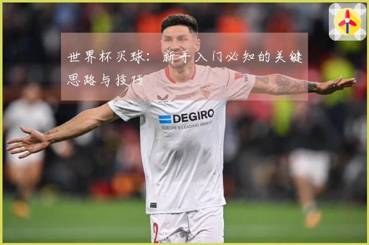 世界杯买球：新手入门必知的关键思路与技巧