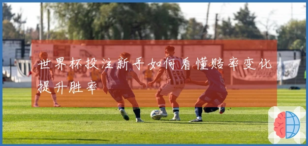 世界杯投注新手如何看懂赔率变化提升胜率