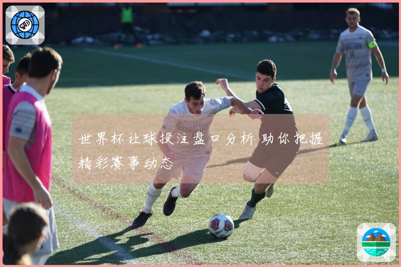 世界杯让球投注盘口分析 助你把握精彩赛事动态