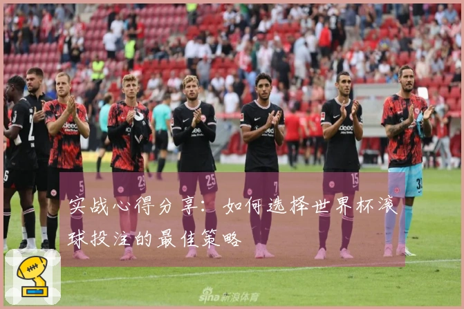 实战心得分享：如何选择世界杯滚球投注的最佳策略