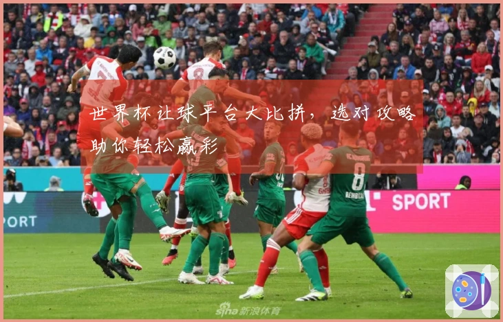 世界杯让球平台大比拼，选对攻略助你轻松赢彩