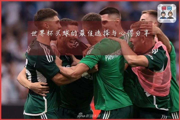 世界杯买球的最佳选择与心得分享