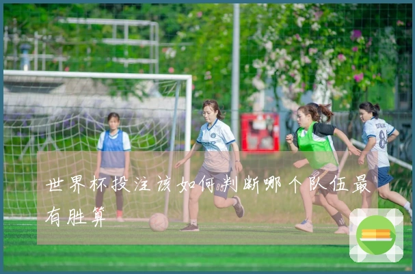世界杯投注该如何判断哪个队伍最有胜算