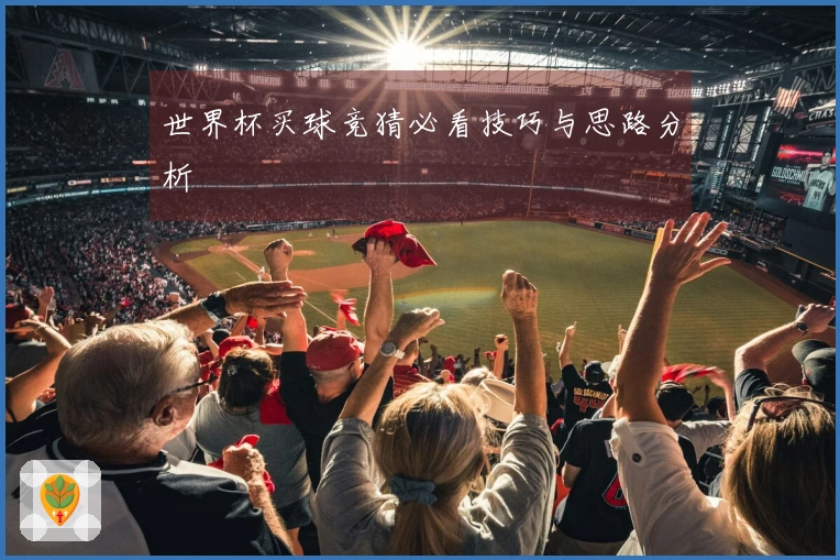世界杯买球竞猜必看技巧与思路分析