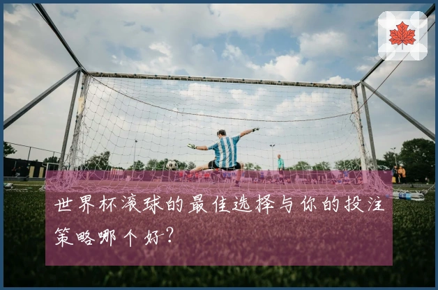 世界杯滚球的最佳选择与你的投注策略哪个好？