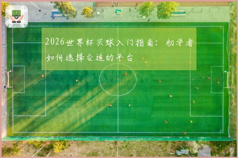 2026世界杯买球入门指南：初学者如何选择合适的平台