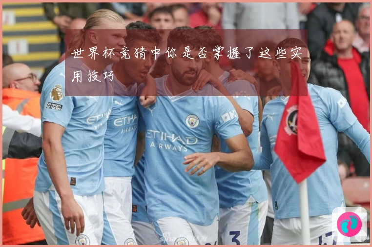 世界杯竞猜中你是否掌握了这些实用技巧