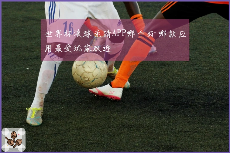 世界杯滚球竞猜APP哪个好 哪款应用最受玩家欢迎