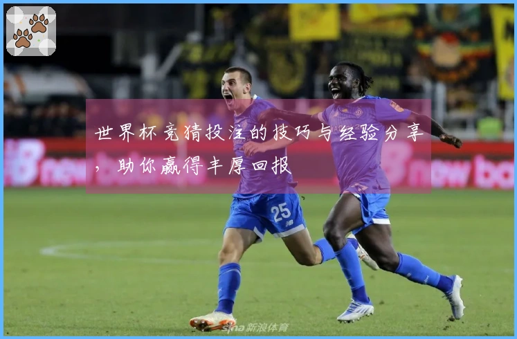 世界杯竞猜投注的技巧与经验分享，助你赢得丰厚回报