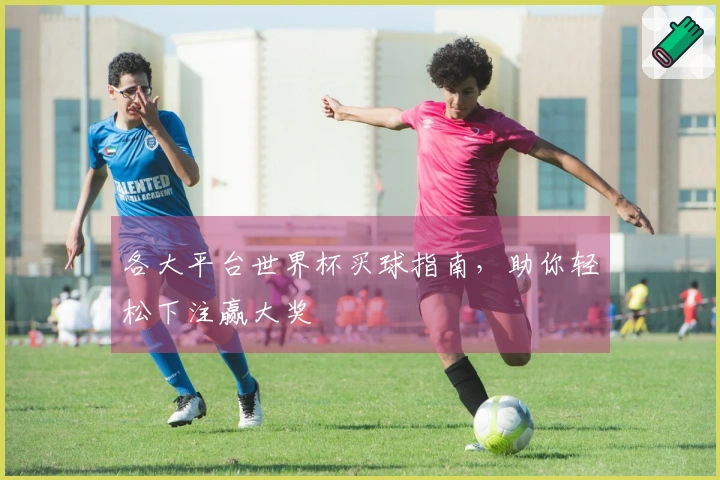 各大平台世界杯买球指南，助你轻松下注赢大奖