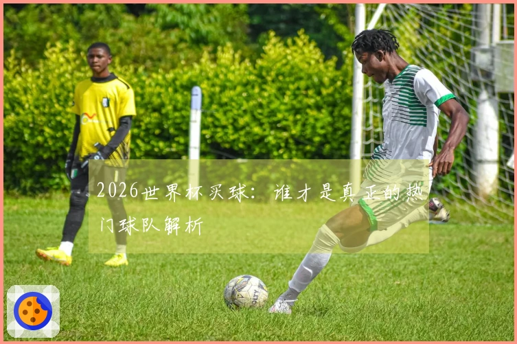 2026世界杯买球：谁才是真正的热门球队解析