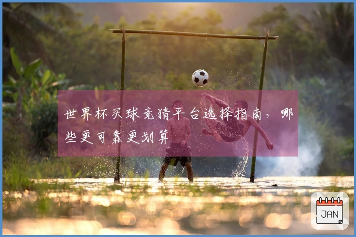 世界杯买球竞猜平台选择指南，哪些更可靠更划算